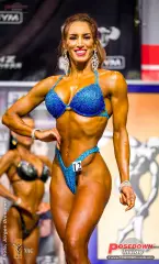 2023 11 nac universe