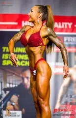 2023 11 nac universe