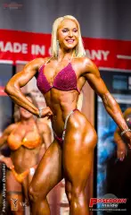 2023 11 nac universe