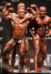 2012 12 dbfv deutsche